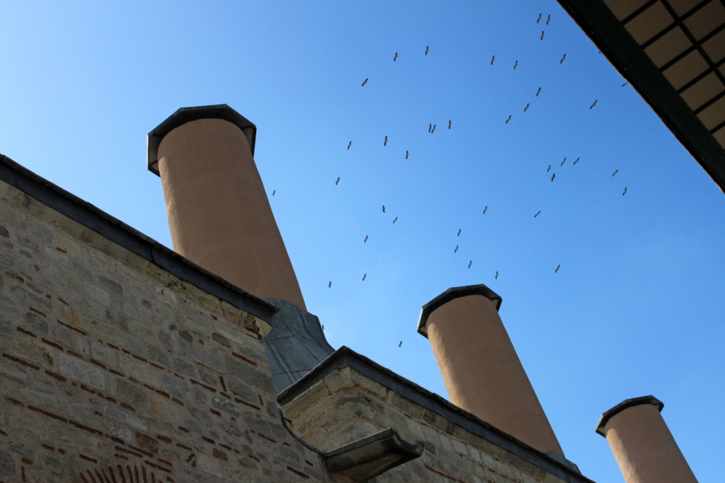 gru tra i camini delle cucine, Palazzo Topkapi